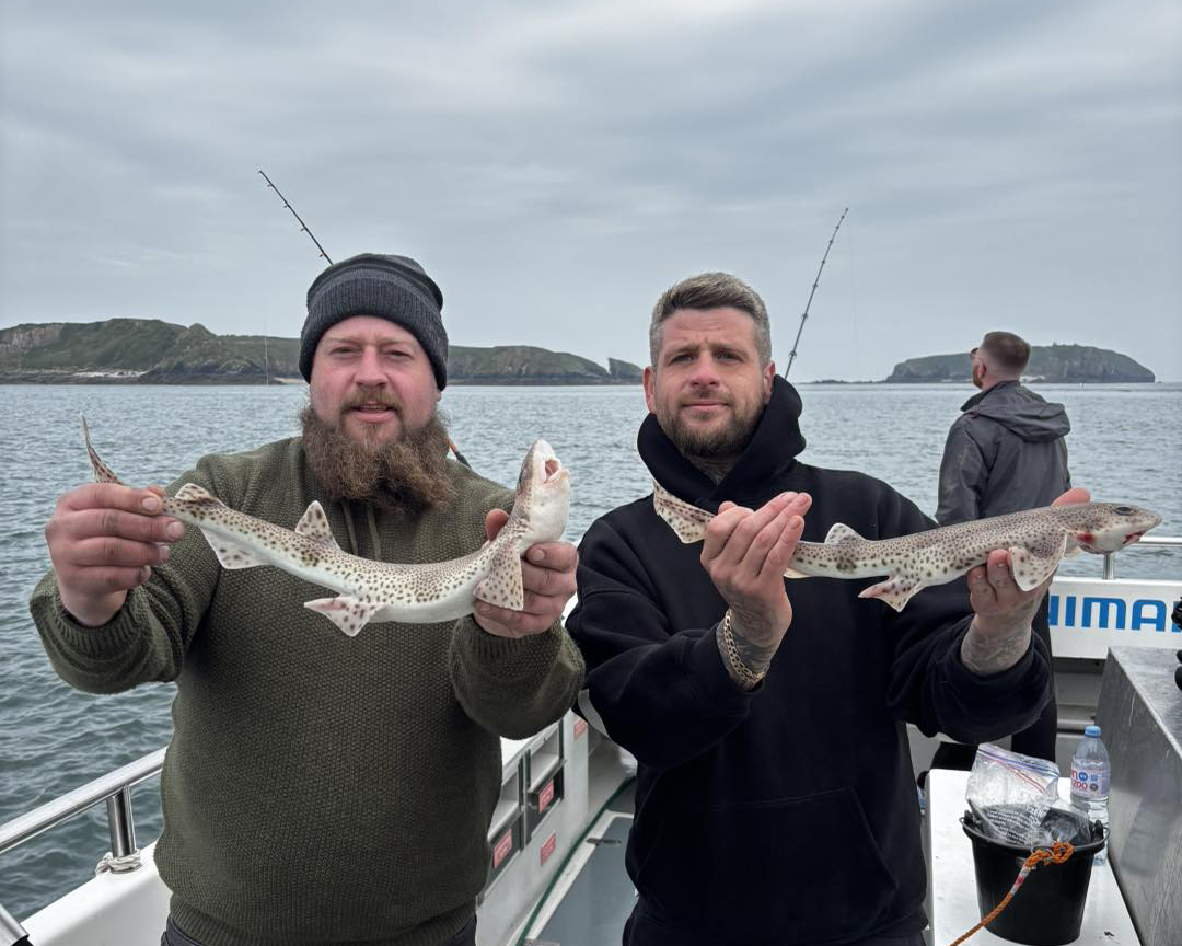Tenby Sea Fishing