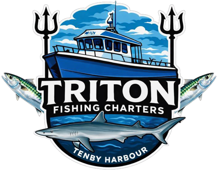 Tenby Sea Fishing