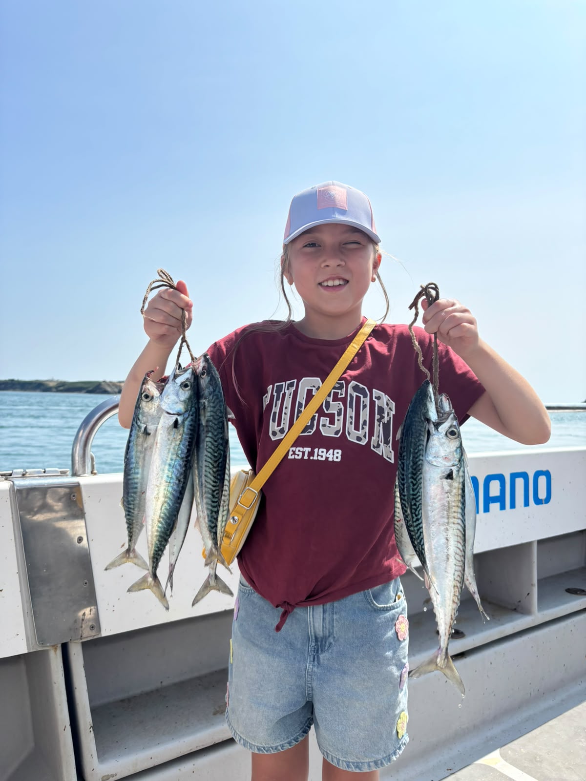 Mackerel Fishing