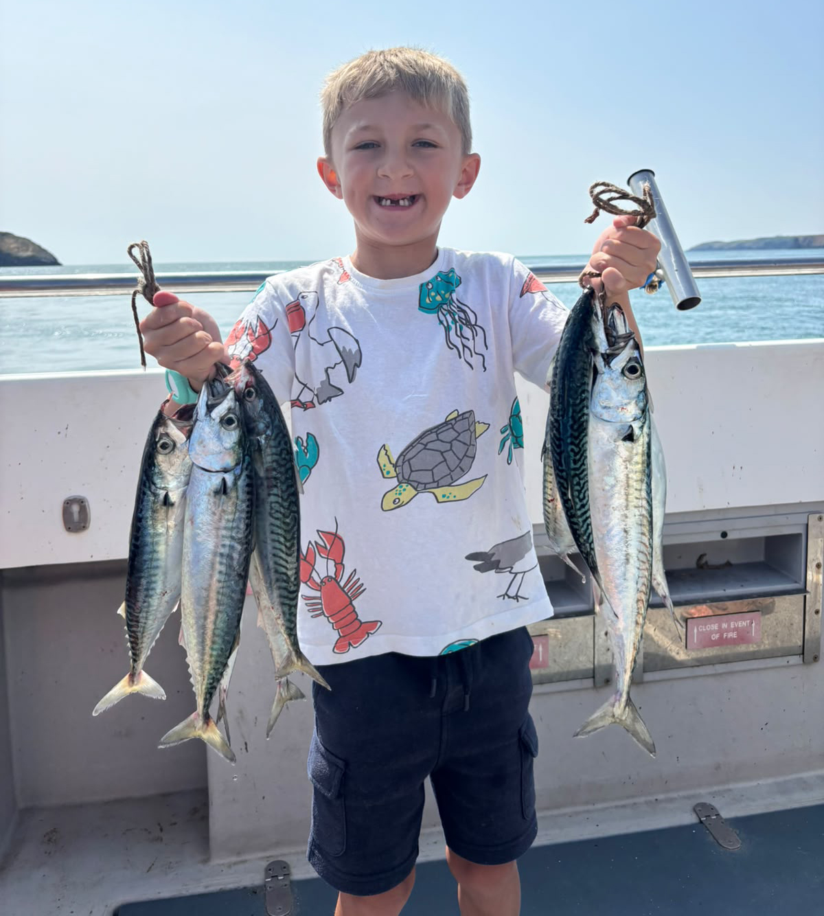 Mackerel Fishing